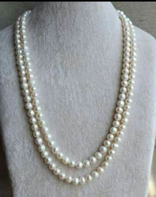 Double line shell pearl mala
